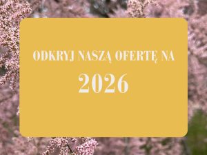 luz blues gościniec pokoje gościnne w górach OFERTA 2026